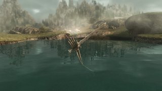 Thumbnail of post image 073