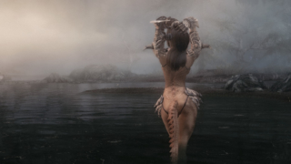 Thumbnail of post image 147