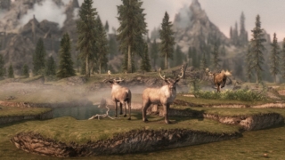 Thumbnail of post image 122